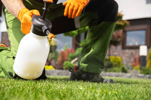 Professional Pest Control in Mountain Park, GA