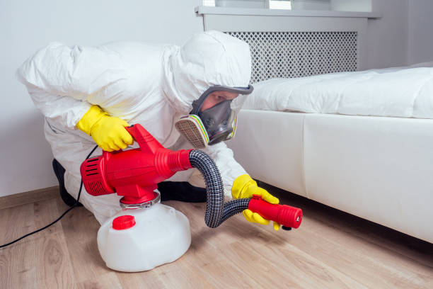 Best Affordable Pest Control Services  in Mountain Park, GA