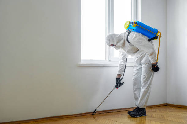 Best Pest Control for Homes  in Mountain Park, GA