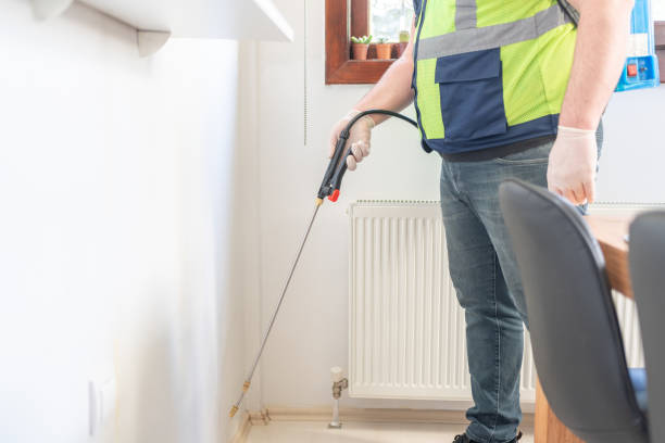 Best Mosquito Control Services  in Mountain Park, GA