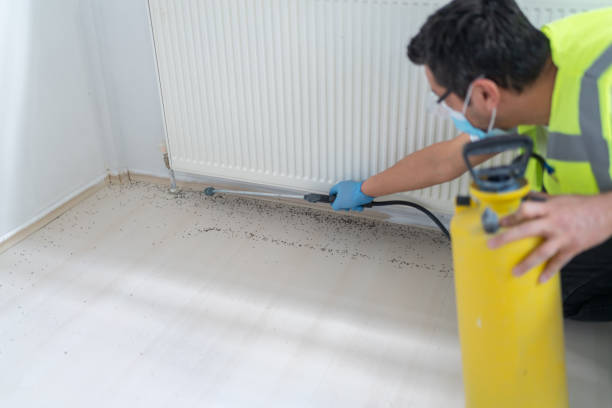 Best Bed Bug Extermination  in Mountain Park, GA