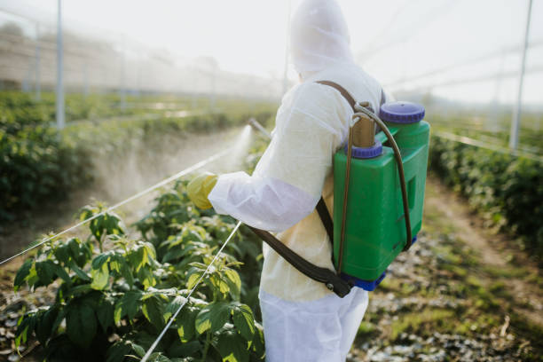 Reliable Mountain Park, GA Pest Control Solutions